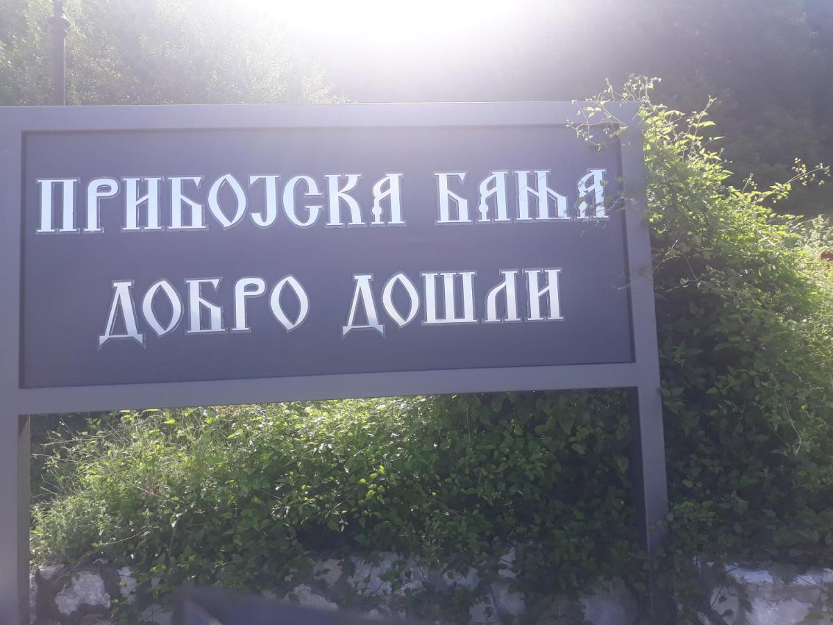 Smestaj Rakovic Pribojska Banja Dış mekan fotoğraf