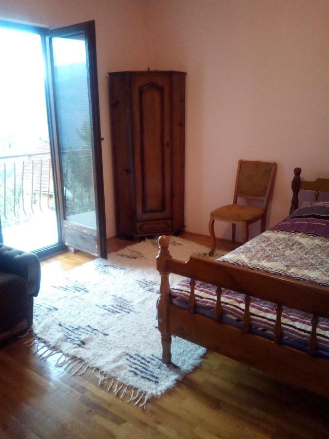 Smestaj Rakovic Pribojska Banja Dış mekan fotoğraf